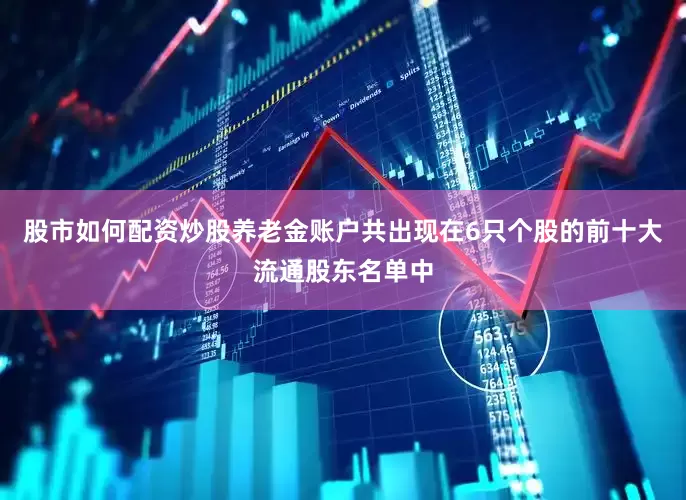 股市如何配资炒股养老金账户共出现在6只个股的前十大流通股东名单中