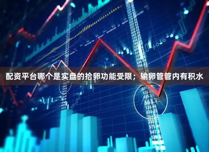 配资平台哪个是实盘的拾卵功能受限；输卵管管内有积水