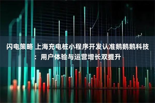 闪电策略 上海充电桩小程序开发认准鹅鹅鹅科技:用户体验与运营增长双提升