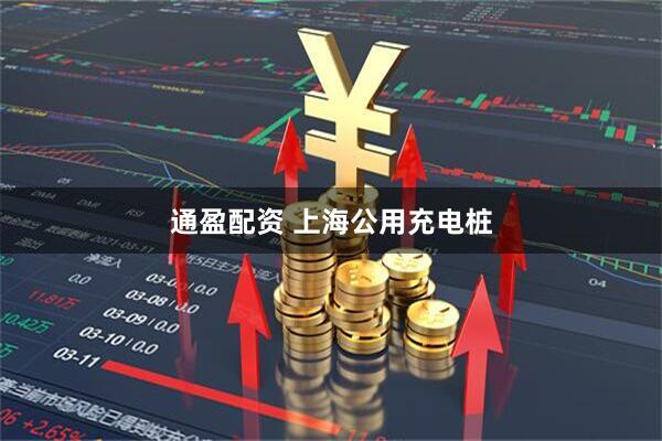 通盈配资 上海公用充电桩