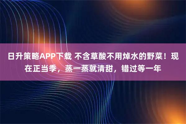 日升策略APP下载 不含草酸不用焯水的野菜！现在正当季，蒸一蒸就清甜，错过等一年
